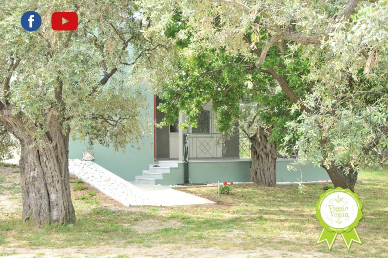 Villa "Elaeda Evdokia" Prínos Extérieur photo